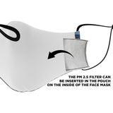 DOWNTOWN DALLAS FACE MASK