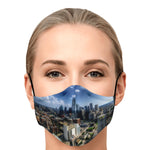 DOWNTOWN DALLAS FACE MASK