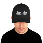 AMERICA'S TEAM FLEX FIT HAT