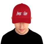 AMERICA'S TEAM FLEX FIT HAT